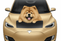 Car leasing vs buying