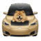 Car leasing vs buying