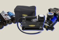 Portable tire inflator