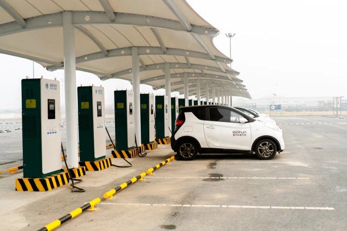 ईभी अन्तर्राष्ट्रिय प्रदर्शनी शुक्रबारदेखि EV charging cable organizer