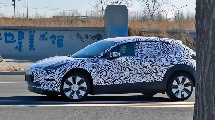 Tesla sparks buzz after rolling out long-awaited upgrade for one of its ... Tesla Model 3/Y custom accessories