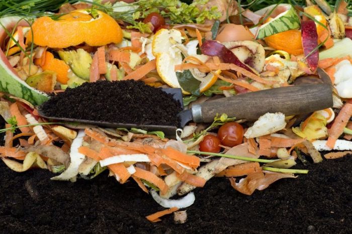 5 Smart Ways to Use Biodegradable Waste to Help the Environment Biodegradable seat covers