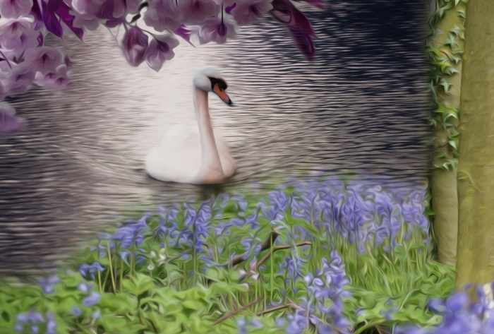 Oil Paint Effect Swan And Flowers Free Stock Photo - Public Domain Pictures Oil filter wrench