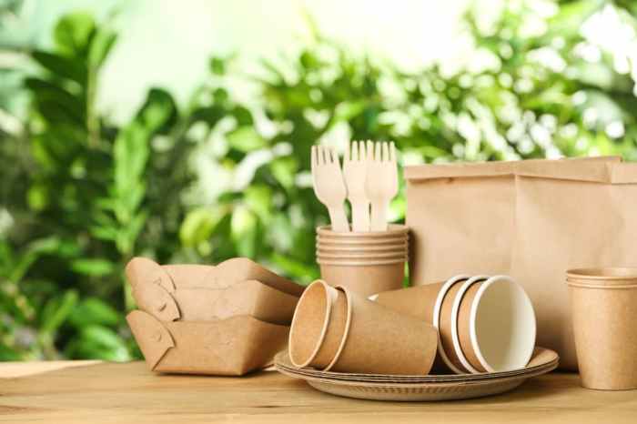 Productos biodegradables: cómo vivir sin plástico | Acis Energía Biodegradable seat covers