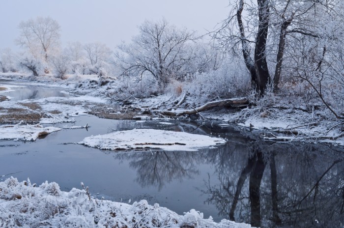 Winter Free Stock Photo - Public Domain Pictures Winter tire chains