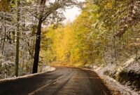 Winter tire chains